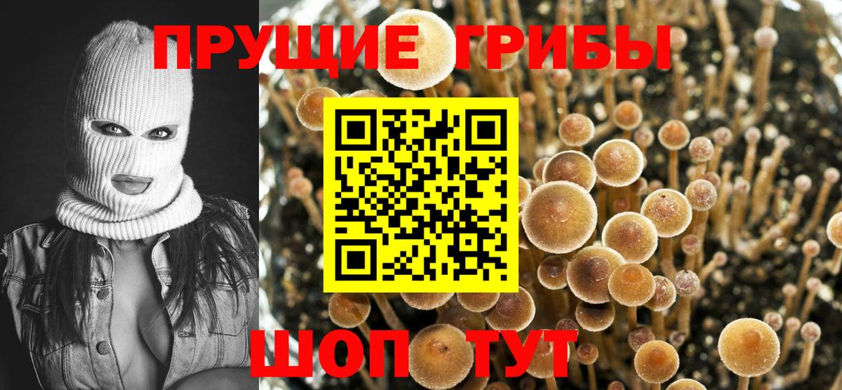 Нижний Новгород  Псилоцибиновые грибы мухоморы  Псилоцибиновые грибы ЛСД  Вход с VPN 
